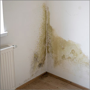 plumbing leaks